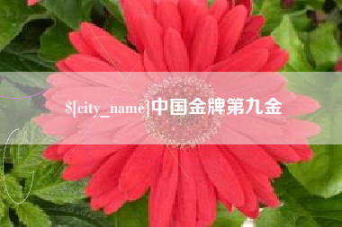 简阳中国金牌第九金