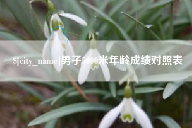 简阳男子5000米年龄成绩对照表
