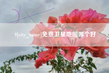 简阳免费卫星地图哪个好