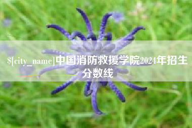 简阳中国消防救援学院2024年招生分数线