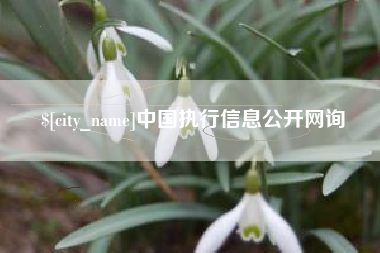 简阳中国执行信息公开网询