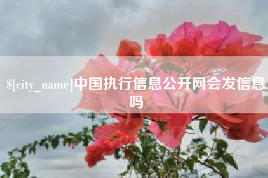 简阳中国执行信息公开网会发信息吗