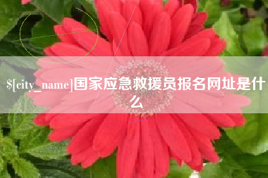 简阳国家应急救援员报名网址是什么