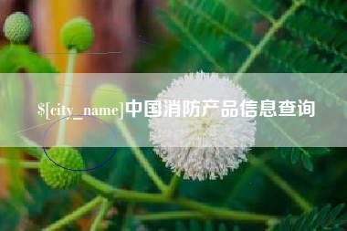 简阳中国消防产品信息查询