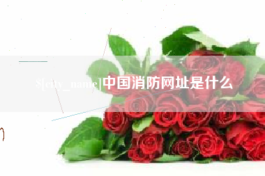 简阳中国消防网址是什么
