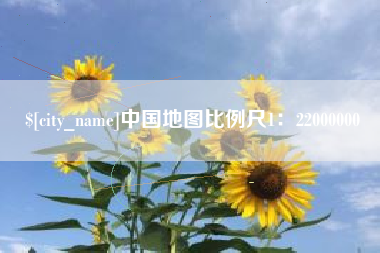 简阳中国地图比例尺1：22000000