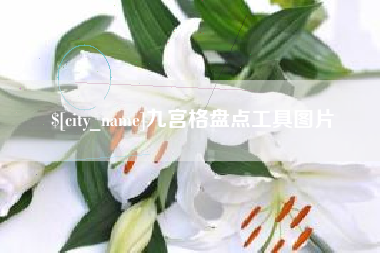 简阳九宫格盘点工具图片