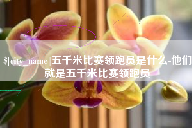 简阳五千米比赛领跑员是什么-他们就是五千米比赛领跑员