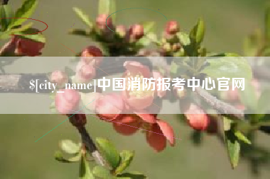 简阳中国消防报考中心官网