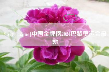 简阳中国金牌榜2024巴黎奥运会最新