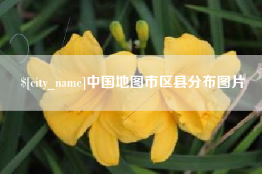 简阳中国地图市区县分布图片