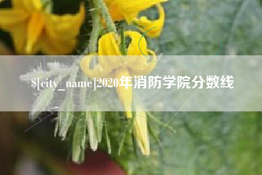简阳2020年消防学院分数线