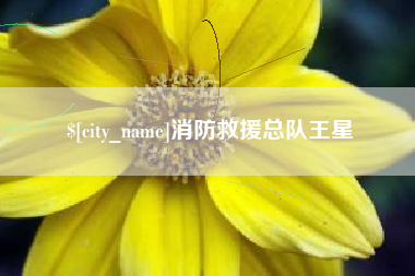 简阳消防救援总队王星