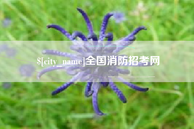 简阳全国消防招考网