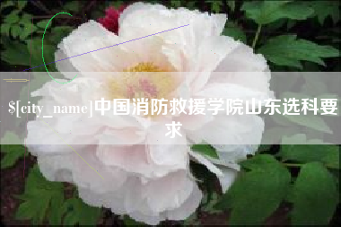 简阳中国消防救援学院山东选科要求