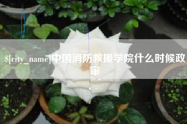 简阳中国消防救援学院什么时候政审