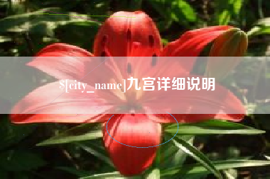 简阳九宫详细说明