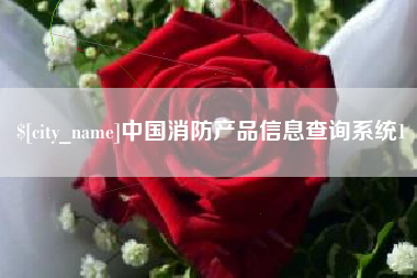 简阳中国消防产品信息查询系统1