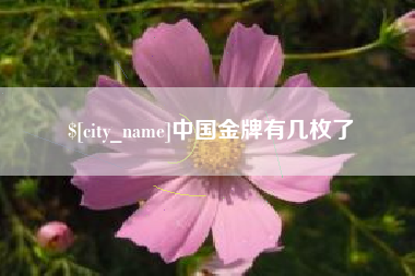 简阳中国金牌有几枚了