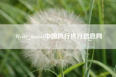 简阳中国执行执行信息网
