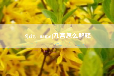 简阳九宫怎么解释