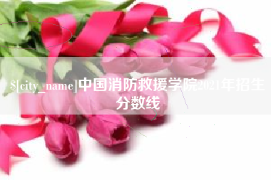 简阳中国消防救援学院2021年招生分数线