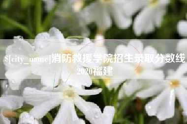 简阳消防救援学院招生录取分数线2020福建