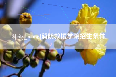 简阳消防救援学院招生条件