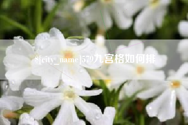 简阳579九宫格如何排