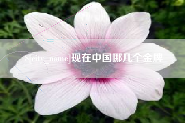 简阳现在中国哪几个金牌