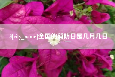 简阳全国的消防日是几月几日