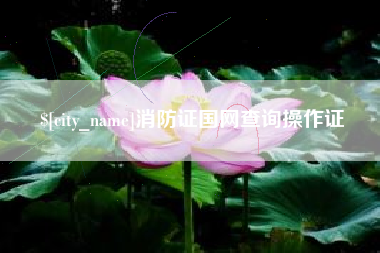 简阳消防证国网查询操作证