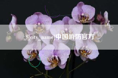简阳中国消防官方
