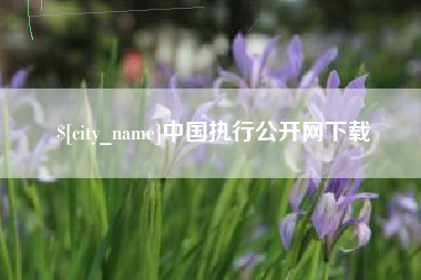 简阳中国执行公开网下载