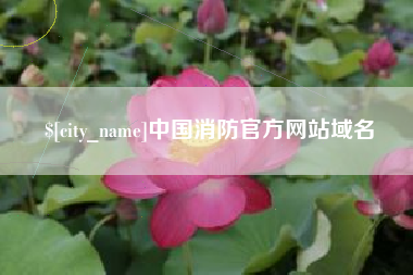 简阳中国消防官方网站域名