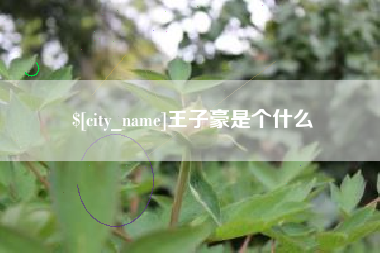 简阳王子豪是个什么
