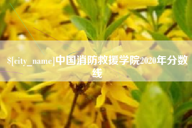 简阳中国消防救援学院2020年分数线