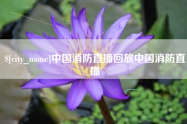 简阳中国消防直播回放中国消防直播