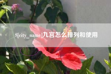 简阳九宫怎么排列和使用