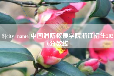 简阳中国消防救援学院浙江招生2020分数线