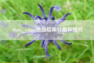 简阳地图指南针图标图片