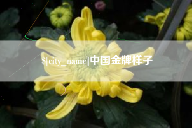 简阳中国金牌样子