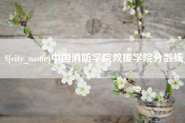 简阳中国消防学院救援学院分数线