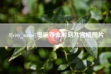简阳奥运夺金时刻九宫格图片