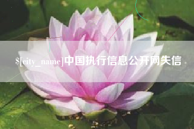 简阳中国执行信息公开网失信