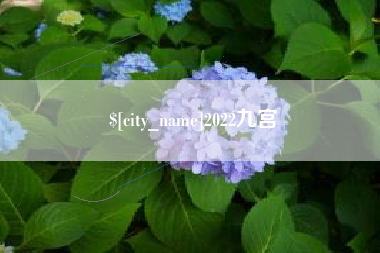 简阳2022九宫