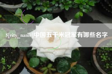 简阳中国五千米冠军有哪些名字