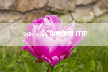 简阳中国地图 打印