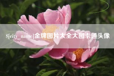 简阳金牌图片大全大图卡通头像