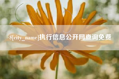 简阳执行信息公开网查询免费